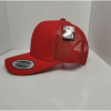 Gorra visera semi plana