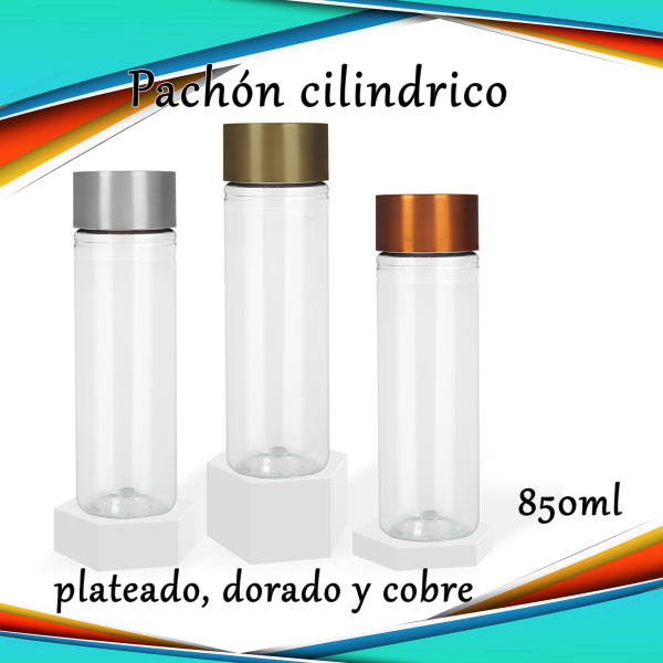 Pachon cilindro transparente tapa de color